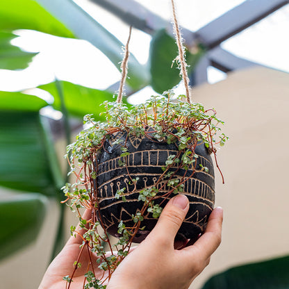 Geometric Hanging Basket Planter